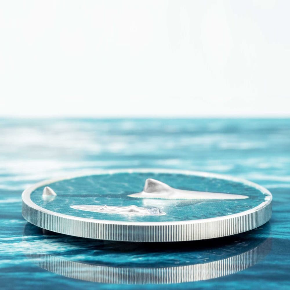 Велика біла акула ~ Срібна монета з ультра високим рельєфом у футлярі-рамці - 3